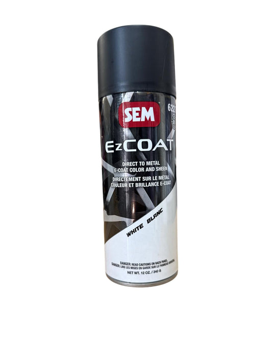 Ez COAT  DTM Coating, aerosol